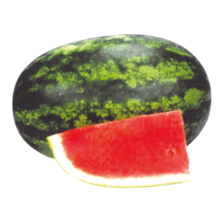 Watermelon Girish From Known You Seed (India)-KYI